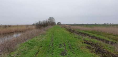 По заросшим местам По заросшим местам