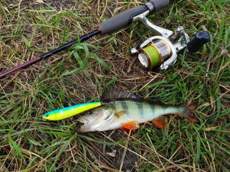 По заросшим местам По заросшим местам