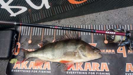 Рыбалка на большой реке