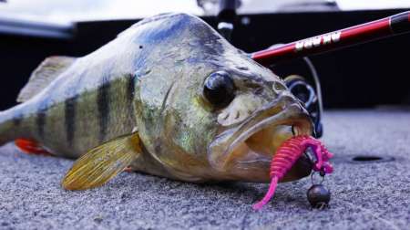 Рыбалка на большой реке