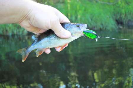 Рыбалка на реке в Новгородской области Рыбалка на реке в Новгородской области
