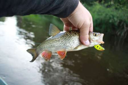 Рыбалка на реке в Новгородской области Рыбалка на реке в Новгородской области
