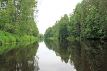 Рыбалка на реке в Новгородской области Рыбалка на реке в Новгородской области
