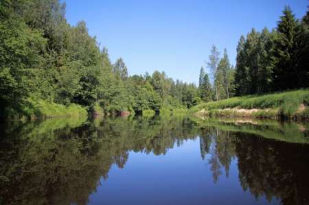 Рыбалка на реке в Новгородской области Рыбалка на реке в Новгородской области