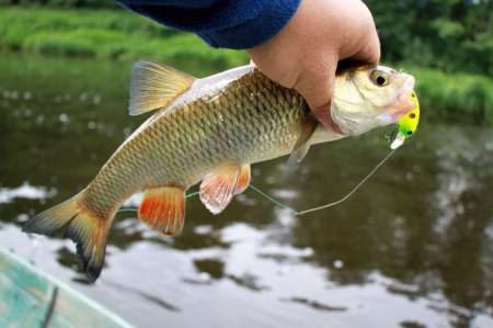 Рыбалка на реке в Новгородской области Рыбалка на реке в Новгородской области