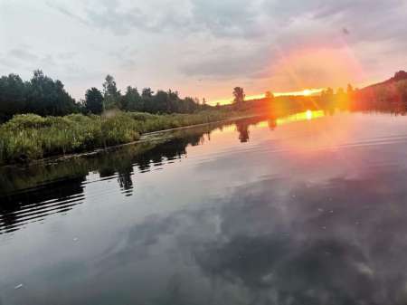 Щука сибирских лиманов