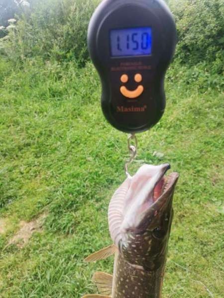 Щука сибирских лиманов