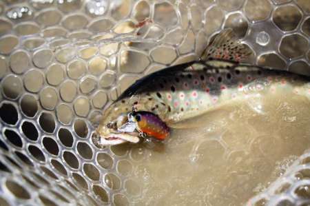 Трудовая рыбалка на горной реке Трудовая рыбалка на горной реке