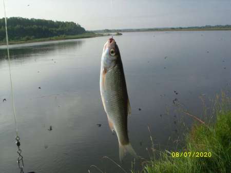 Утренняя рыбалка перед работой