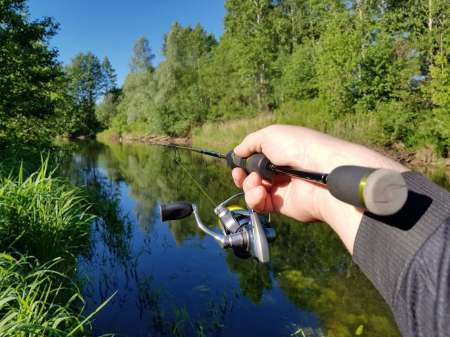 В поиске голавля на малой реке В поиске голавля на малой реке