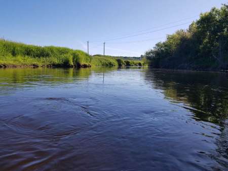 В поиске голавля на малой реке В поиске голавля на малой реке