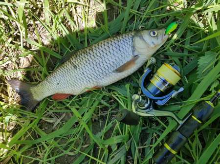 В поиске голавля на малой реке В поиске голавля на малой реке