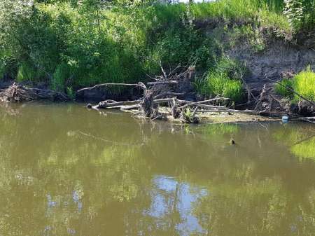 В поиске голавля на малой реке В поиске голавля на малой реке