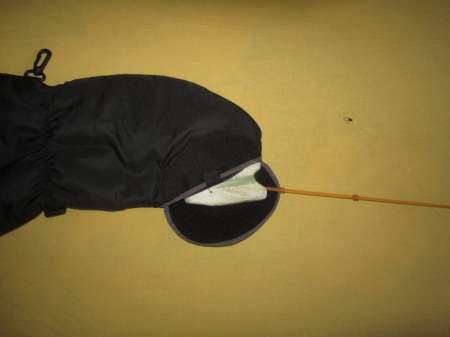 Вот он какой, северный медведь...