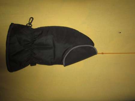 Вот он какой, северный медведь...