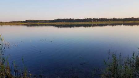 За лещом. В гостях у родни!