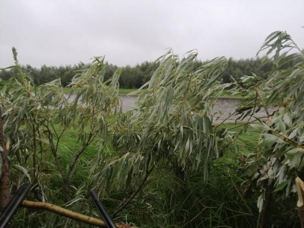 Открытие - всегда праздник!!!