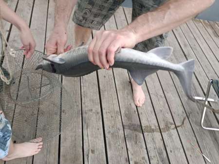 Июнь и август в Илейкино Июнь и август в Илейкино