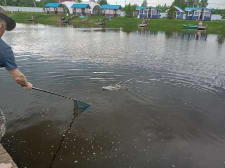 Июнь и август в Илейкино Июнь и август в Илейкино