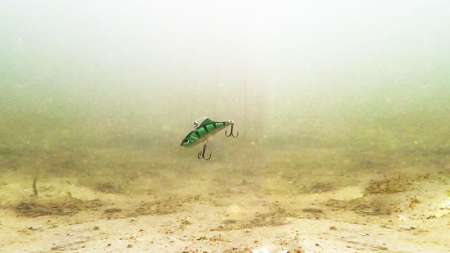 Пять лучших проводок раттлинов и секреты применения