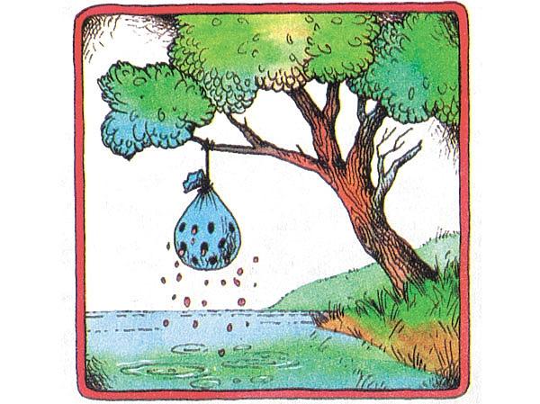 Правда о приваде