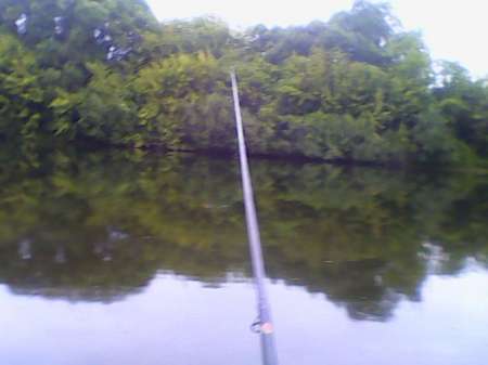 С мыска на пшеницу