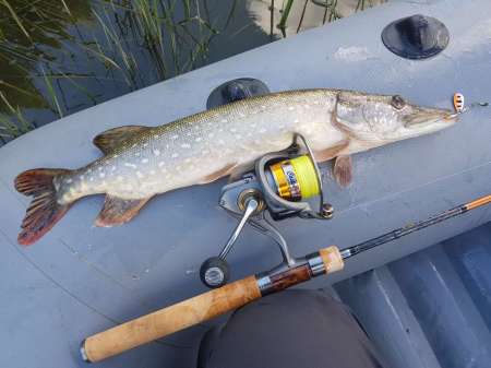 Щука под занавес рыболовного дня Щука под занавес рыболовного дня