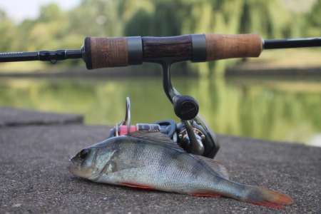 Тестируем новый спиннинг для мормышинга 2020 Тестируем новый спиннинг для мормышинга 2020