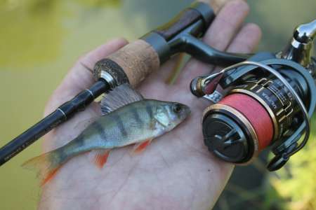 Тестируем новый спиннинг для мормышинга 2020 Тестируем новый спиннинг для мормышинга 2020