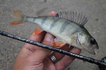 Тестируем новый спиннинг для мормышинга 2020 Тестируем новый спиннинг для мормышинга 2020