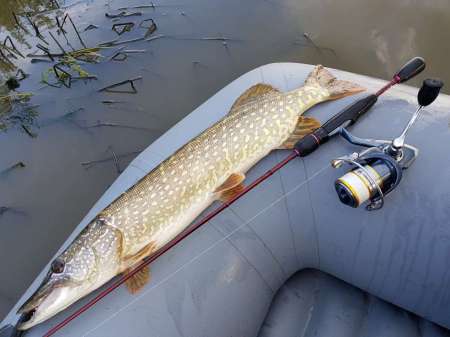 Трофеи городской черты Трофеи городской черты