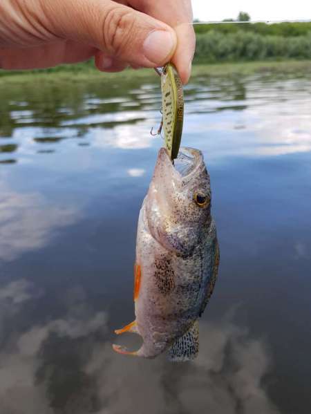 Трофеи городской черты Трофеи городской черты