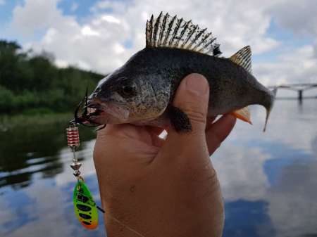 Трофеи городской черты Трофеи городской черты