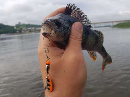 Трофеи городской черты Трофеи городской черты