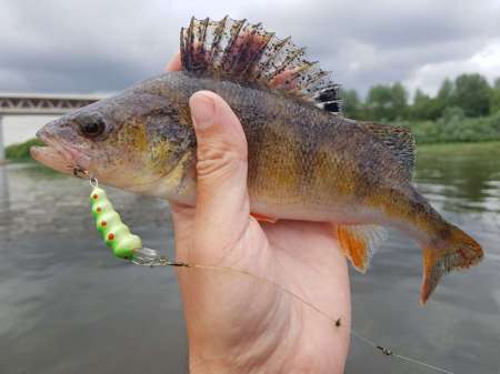 Трофеи городской черты Трофеи городской черты