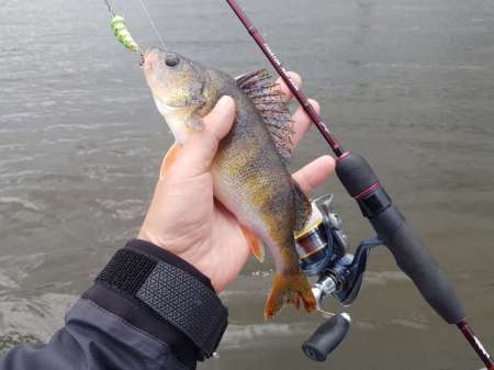 Трофеи городской черты Трофеи городской черты