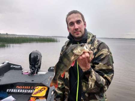 Трофейные окуни на поппер Трофейные окуни на поппер