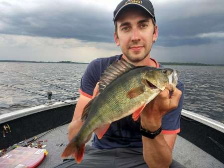 Трофейные окуни на поппер Трофейные окуни на поппер