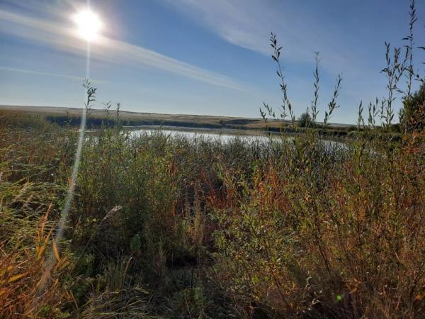 Новые маршруты, новые места...