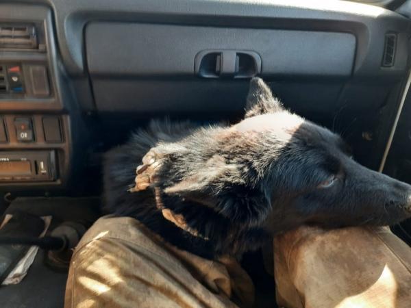 Новые маршруты, новые места...