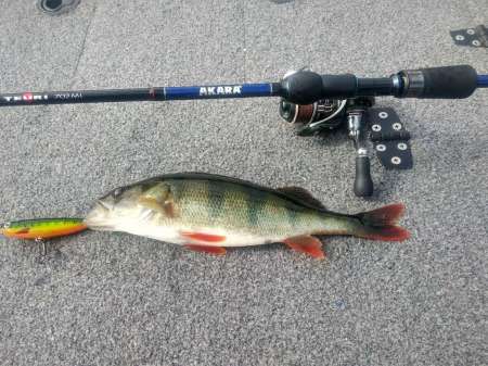 Как поймать много рыбы на воблеры Как поймать много рыбы на воблеры