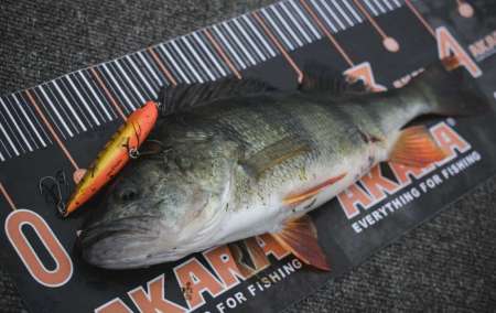 Как поймать много рыбы на воблеры Как поймать много рыбы на воблеры