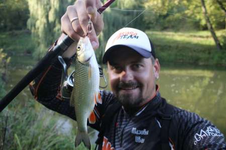 Ловля голавля на спиннинг ультралайт осенью Ловля голавля на спиннинг ультралайт осенью