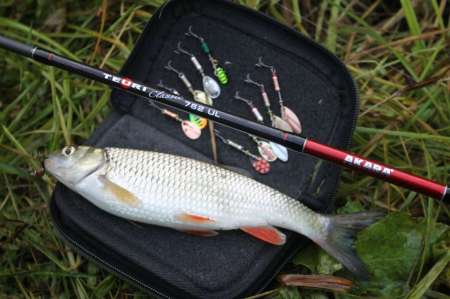 Ловля голавля на спиннинг ультралайт осенью Ловля голавля на спиннинг ультралайт осенью