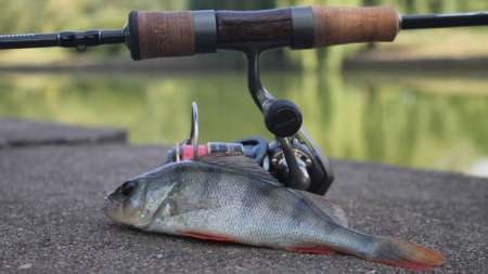 Мормышинг для начинающих летом. Как ловить? Мормышинг для начинающих летом. Как ловить?