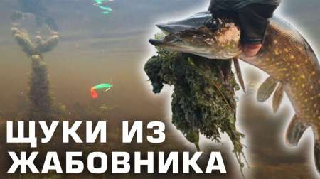 Огруженный офсетник своими руками