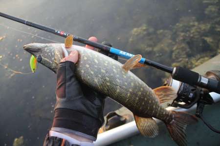 Огруженный офсетник своими руками