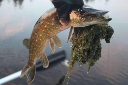 Огруженный офсетник своими руками