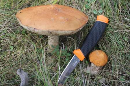 Огруженный офсетник своими руками