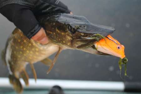 Огруженный офсетник своими руками